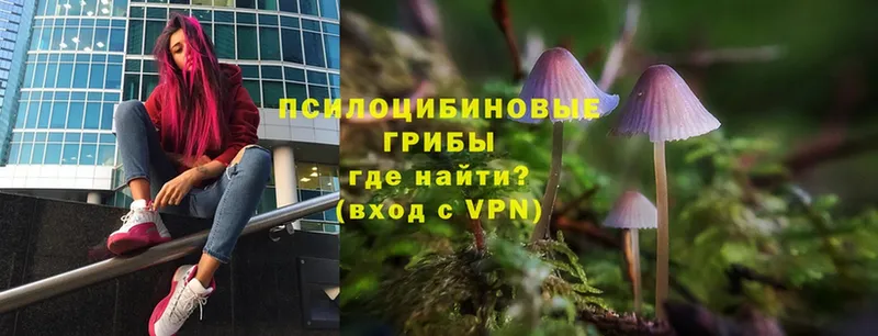 Псилоцибиновые грибы Magic Shrooms  гидра ТОР  Ступино  сколько стоит 